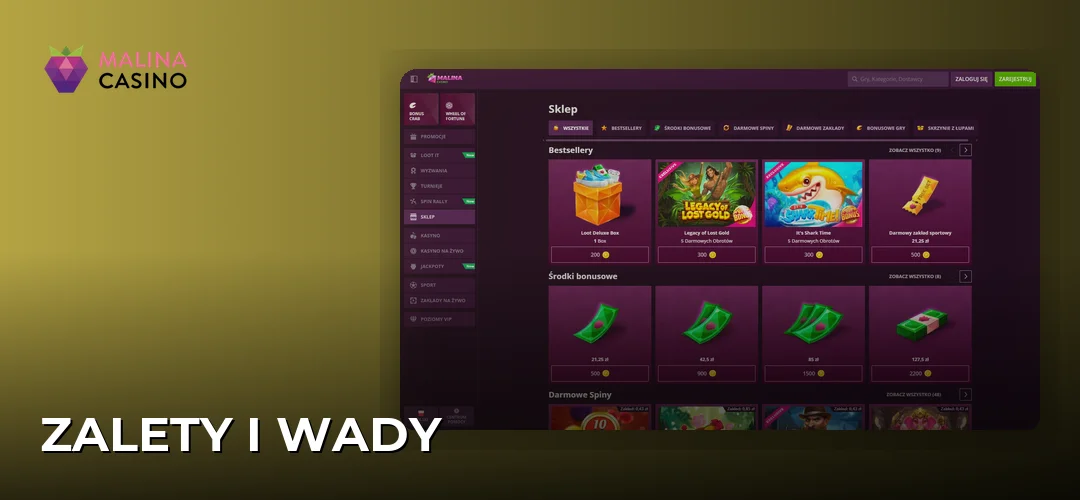 Zalety i Wady