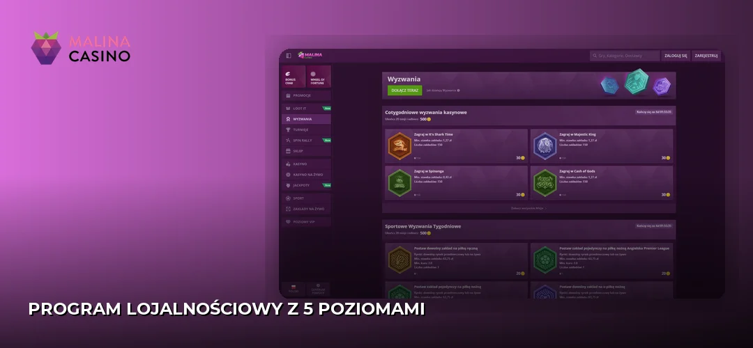 Zrzut ekranu strony Malina