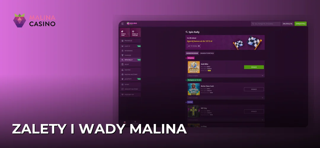 Zrzut ekranu strony Malina