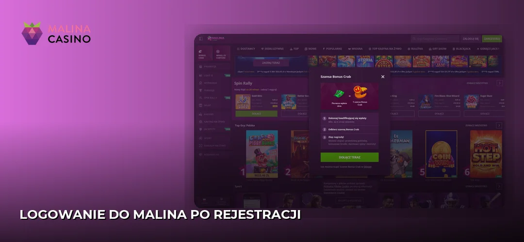 Zrzut ekranu strony Malina